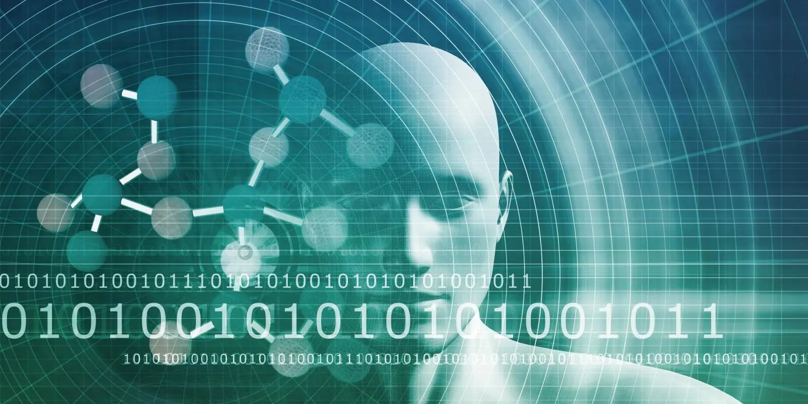 1702618251956614.jpg 1702618251956614.jpg